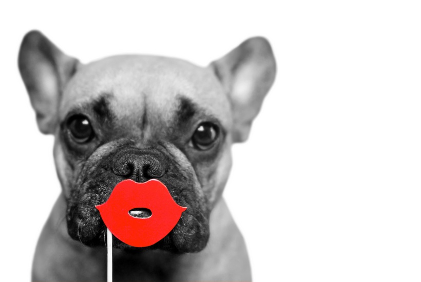 Discover How Many Different Types of Kisses Are There